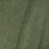 Pistachio Festive Elegance Saree