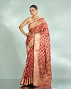 Splendid Coral Saree