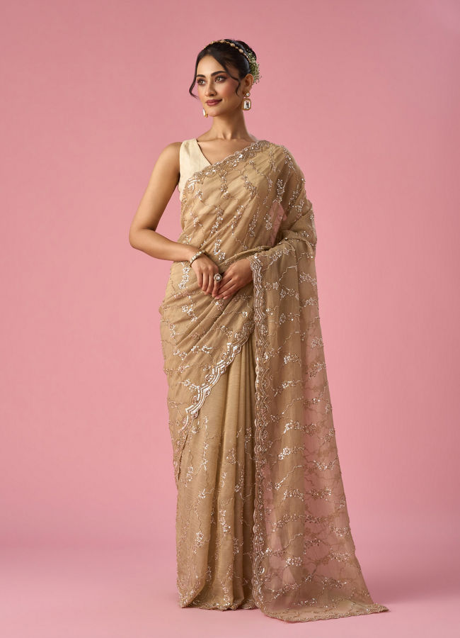 Mohey Women Fawn Organza Saree with Hand Embroidery