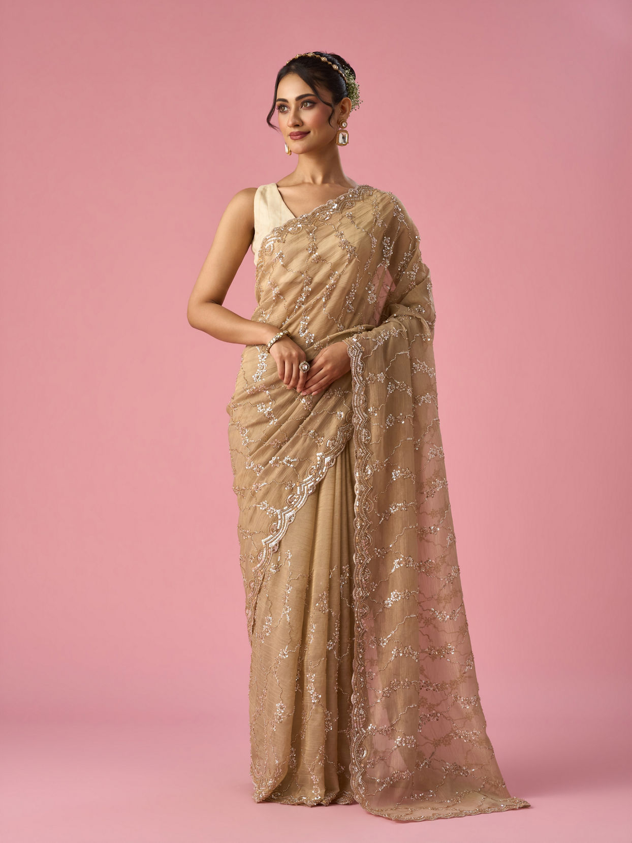 Mohey Women Fawn Organza Saree with Hand Embroidery