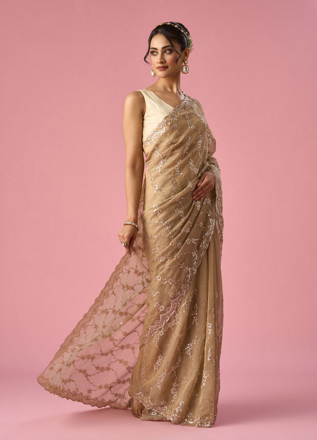 Mohey Women Fawn Organza Saree with Hand Embroidery