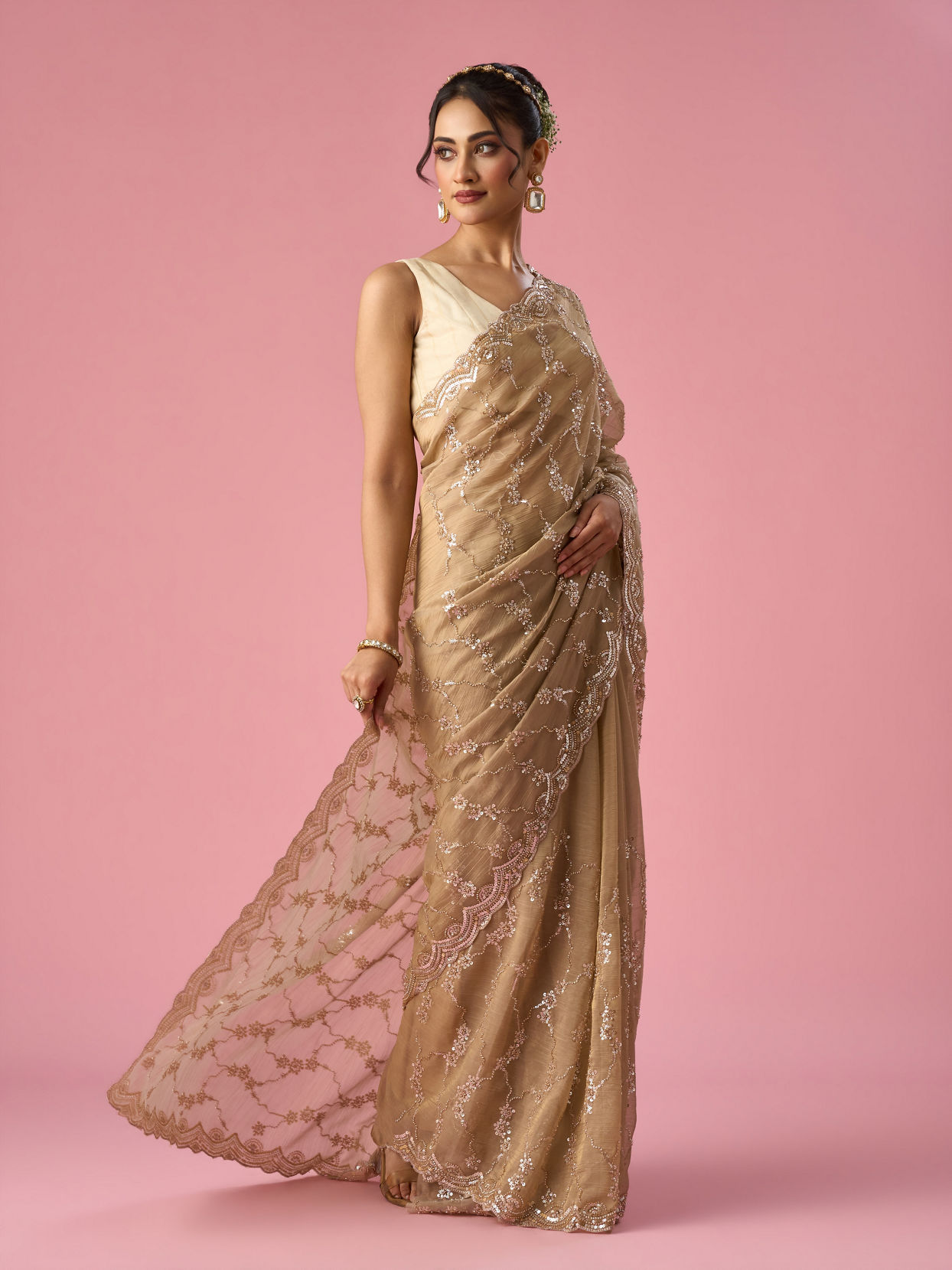 Mohey Women Fawn Organza Saree with Hand Embroidery