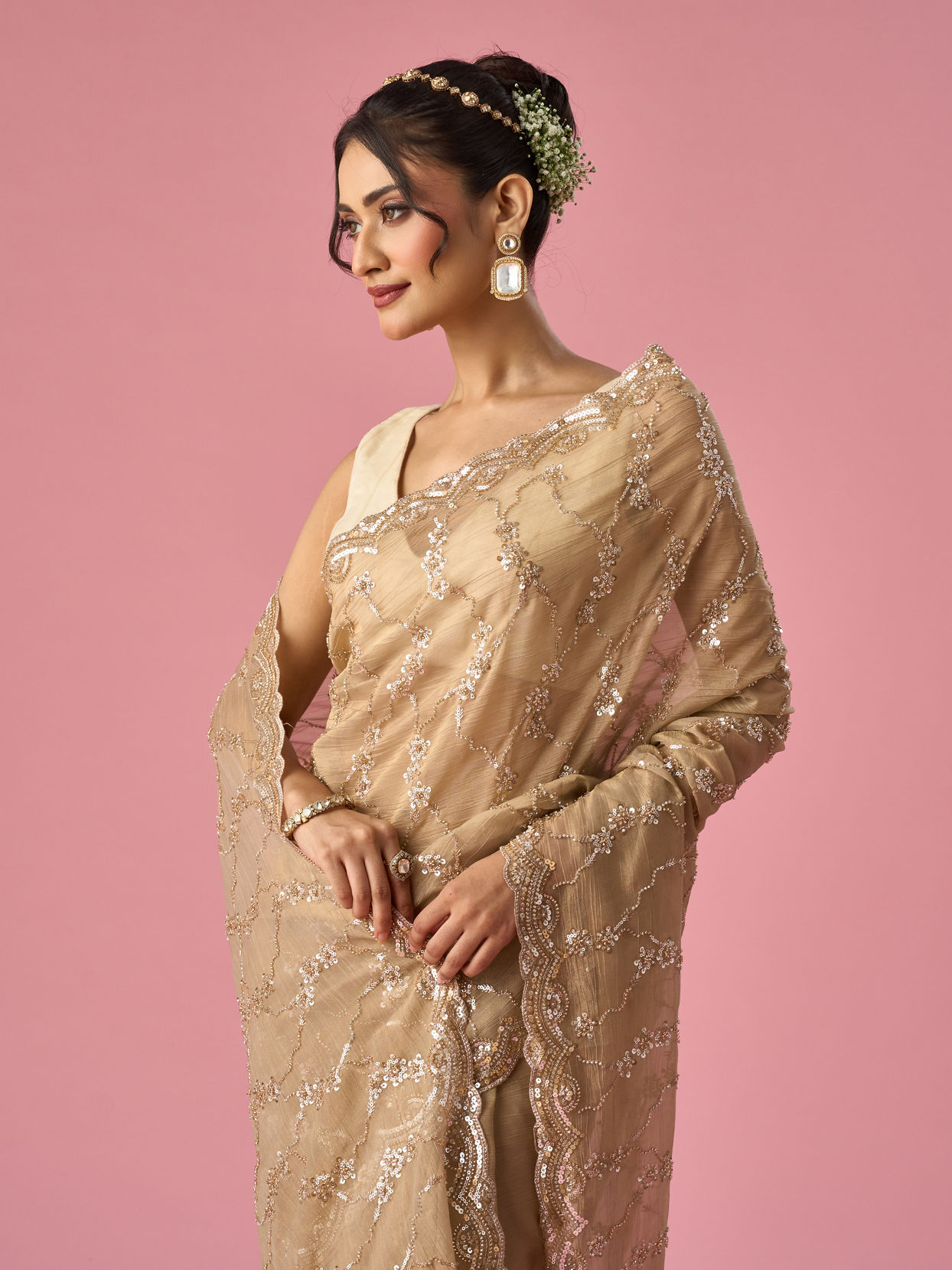 Mohey Women Fawn Organza Saree with Hand Embroidery
