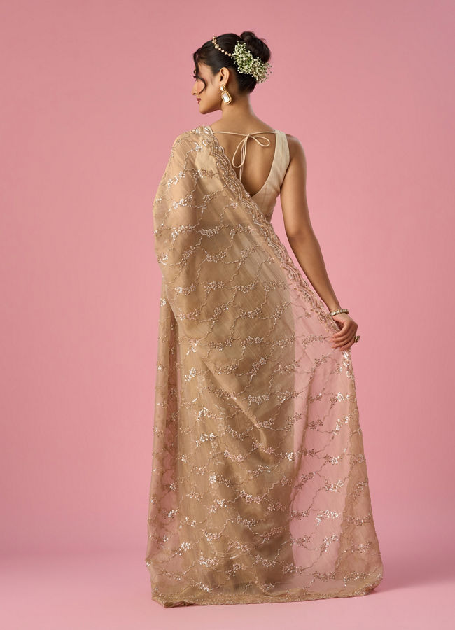 Mohey Women Fawn Organza Saree with Hand Embroidery