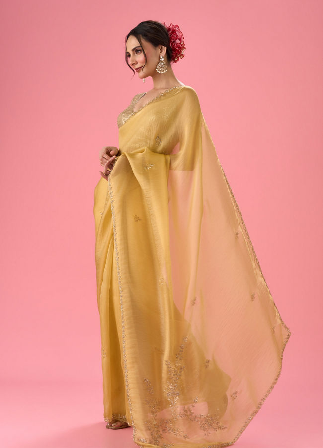 Mohey Women Sunny Elegance Organza Saree