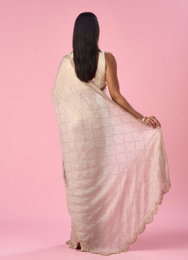 Mohey Women Fawn Chiffon Saree with Hand Embroidery
