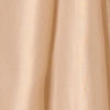 Fawn Organza Saree with Stone Work