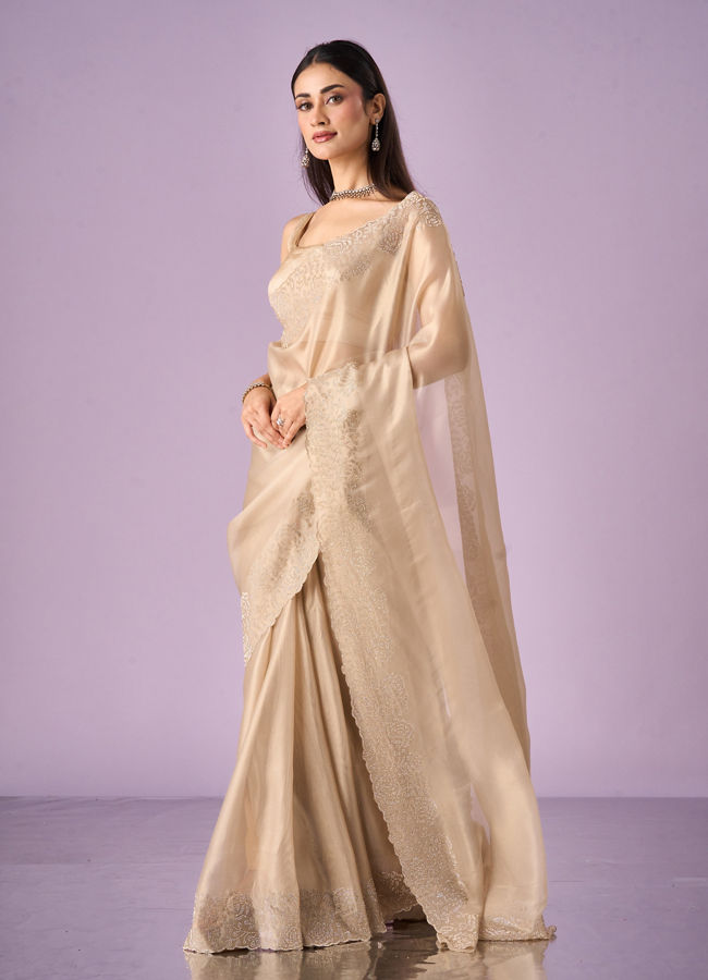 Mohey Women Fawn Organza Saree with Stone Work