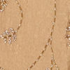 Beige Organza Saree with Stone Work