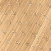 Beige Organza Saree with Stone Work