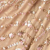 Beige Chiffon Saree with Cutdana and Sequin Work