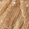 Fawn Organza Saree with Cutdana and Sequin Work