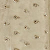 Green Organza Saree with Stone Work