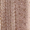 Cream Organza Saree with Stone Work