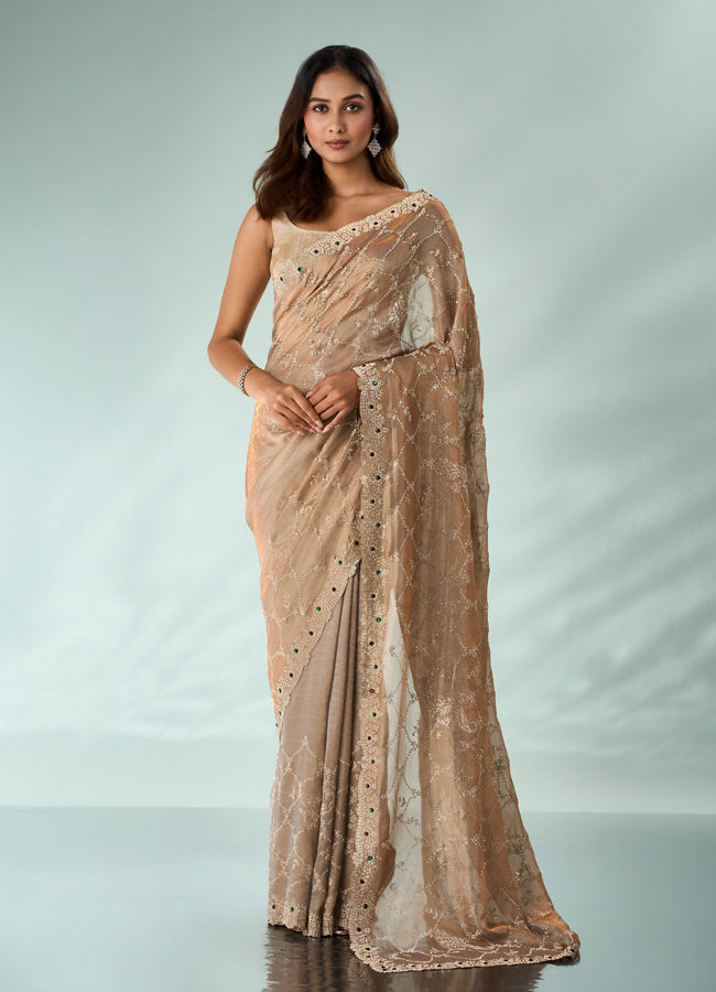 Mohey Women Fawn Organza Saree with Stone Work