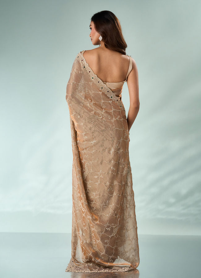Mohey Women Fawn Organza Saree with Stone Work