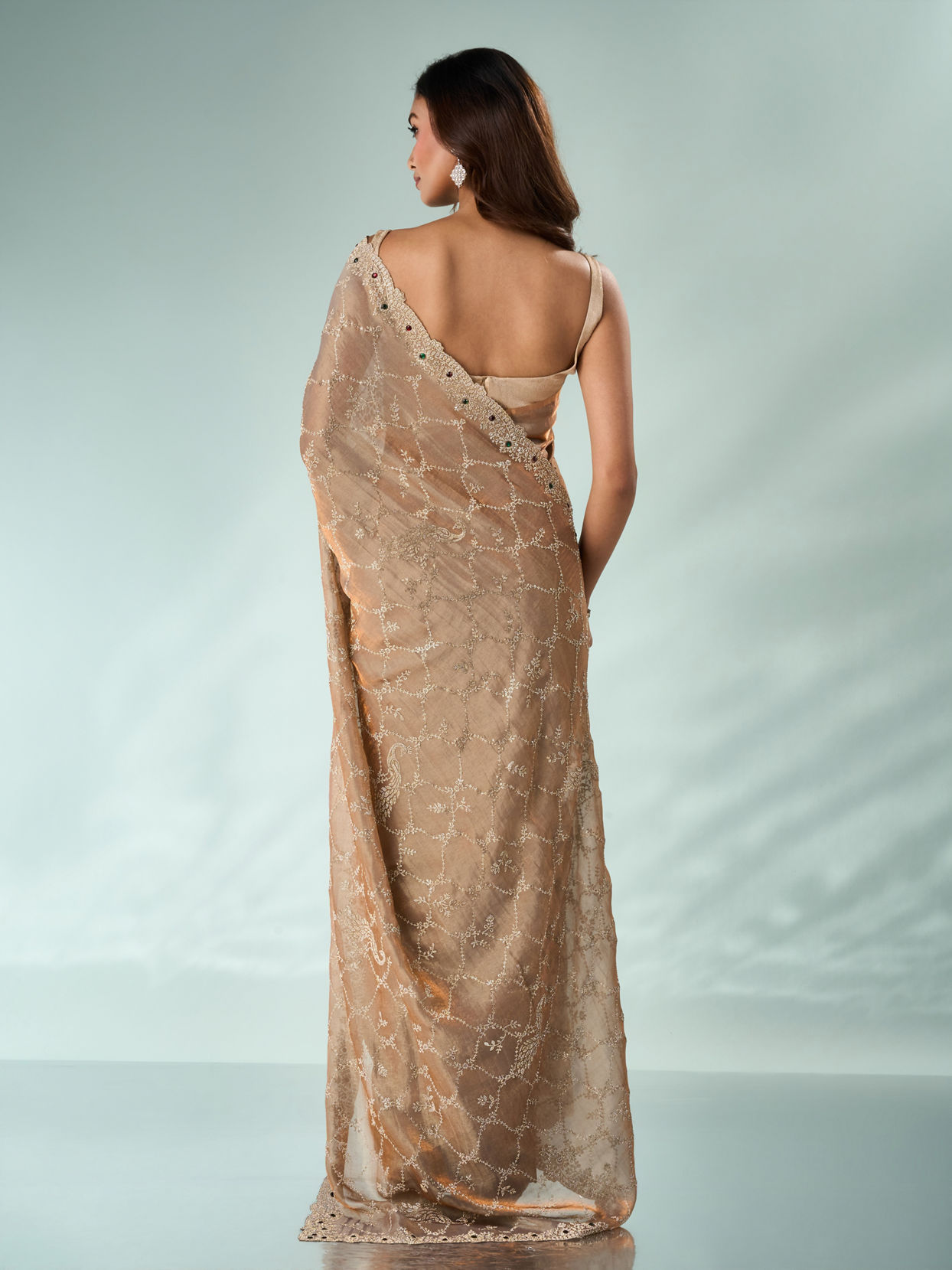 Mohey Women Fawn Organza Saree with Stone Work