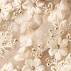 Cream Net Saree with Stone Work