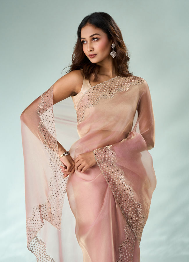 Mohey Women Pink Organza Saree with Stone Work