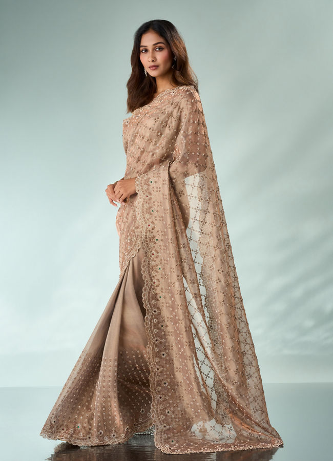 Mohey Women Peach Organza Saree with Stone Work