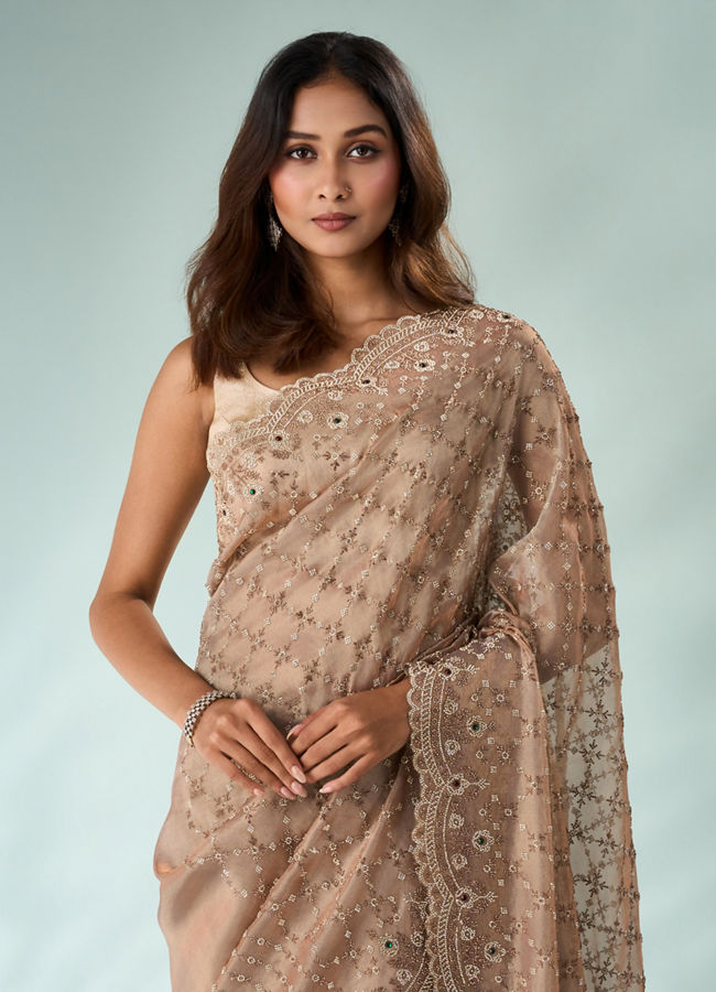 Mohey Women Peach Organza Saree with Stone Work