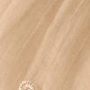 Beige Tissue Saree with Cutdana and Sequin Work