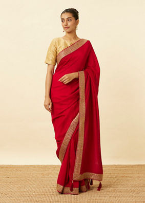 Fiesta Red Saree with Fern Embroidered Border image number 0