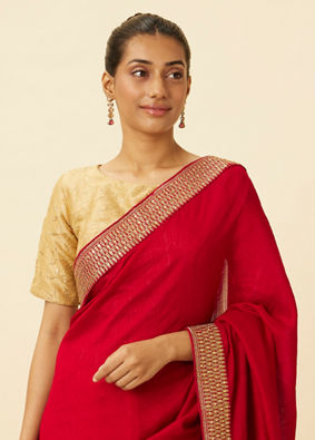 Fiesta Red Saree with Fern Embroidered Border image number 1