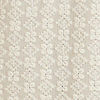 Warm White Chikankari Embroidered Kurta Set