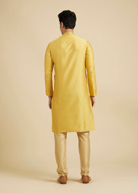 Manyavar Men Golden Embellished Kurta Pajama image number 5