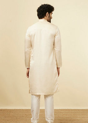 Biscuit Side Open Styled Kurta Set image number 5