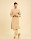 Manyavar Men Peach and Pista Green Chikankari
