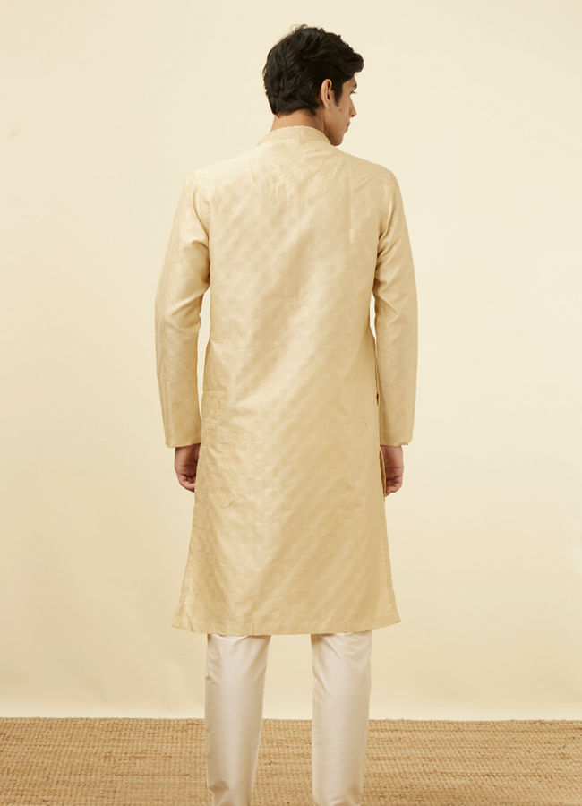 alt message - Manyavar Men Sandal Jacquard Kurta Pajama image number 5