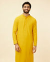 alt message - Manyavar Men Mustard Yellow Chikankari Sequinned Kurta Set image number 0