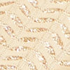 Whisper White Leaf String Patterned Jutti