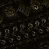 Velvety Black Festive Shoe