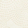 Cream Regality Indo Western