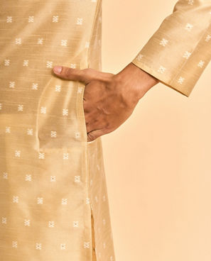 Diwas Men Beige Celebration Kurta Pajama