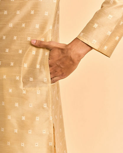 Diwas Men Beige Celebration Kurta Pajama