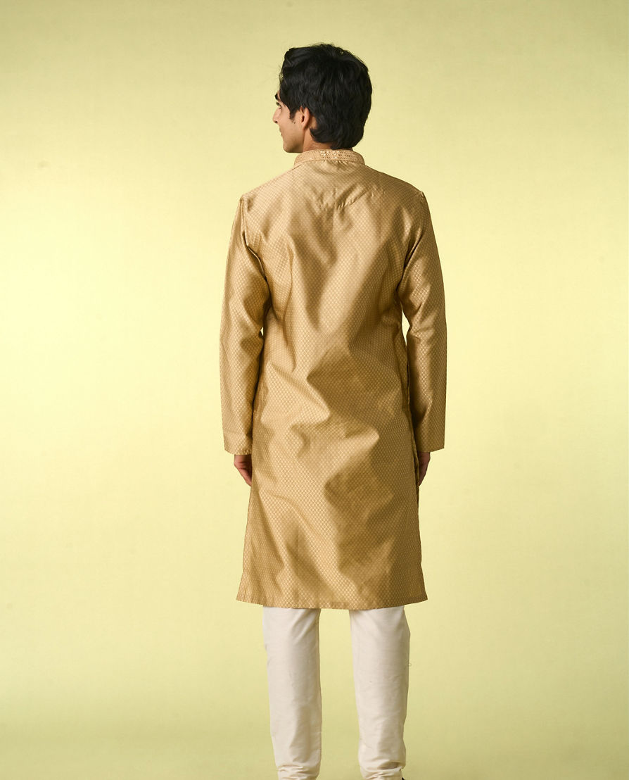 Diwas Men Fawn Elegance Kurta Pajama