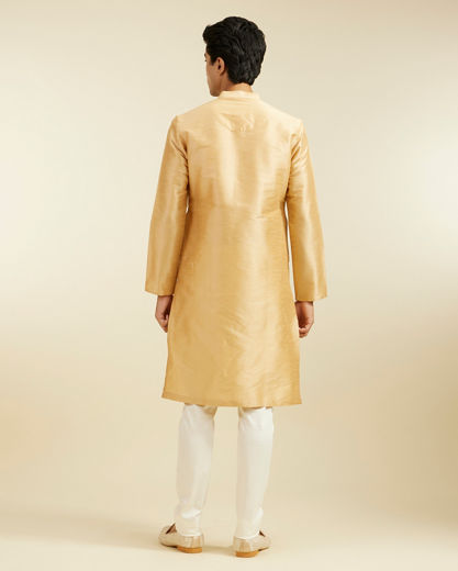 Diwas Men Light Fawn Plain Classic Kurta Pajama