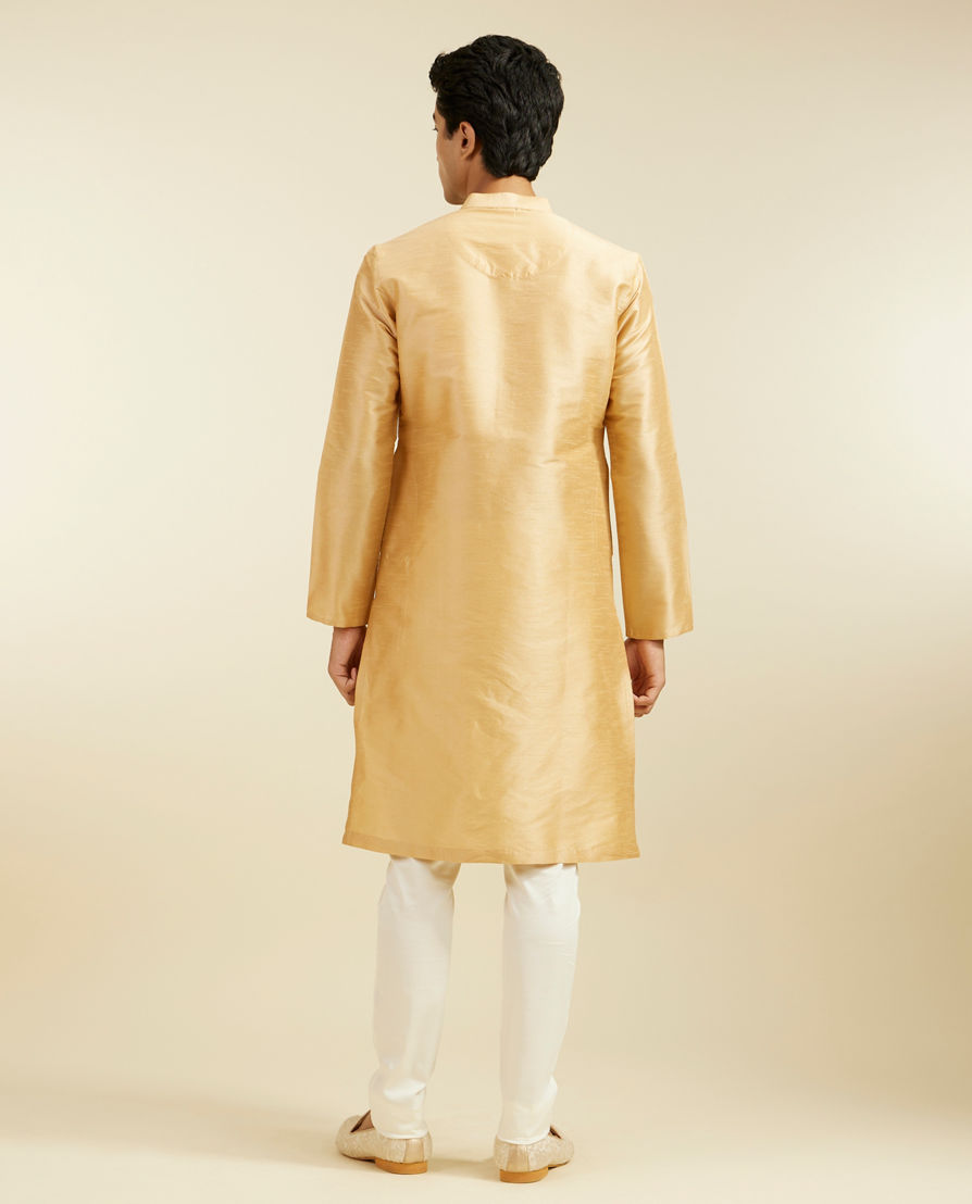 Diwas Men Light Fawn Plain Classic Kurta Pajama