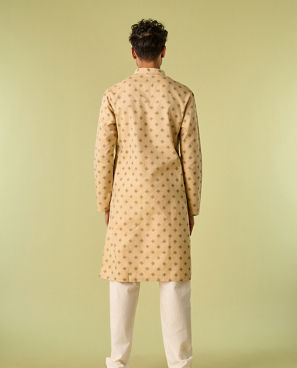 Diwas Men Fawn Elegance Kurta Pajama