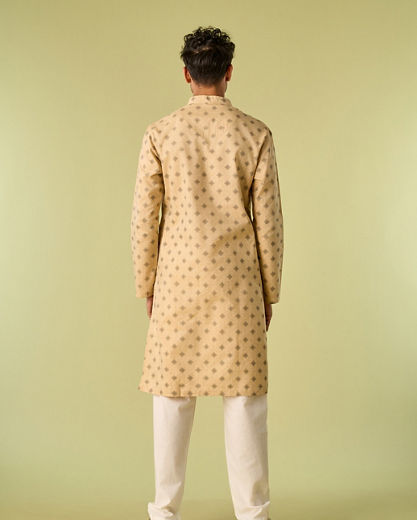 Diwas Men Fawn Elegance Kurta Pajama