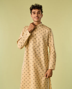 Diwas Men Fawn Elegance Kurta Pajama