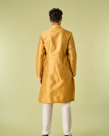 Diwas Men Sun Soaked Mustard Kurta Pajama