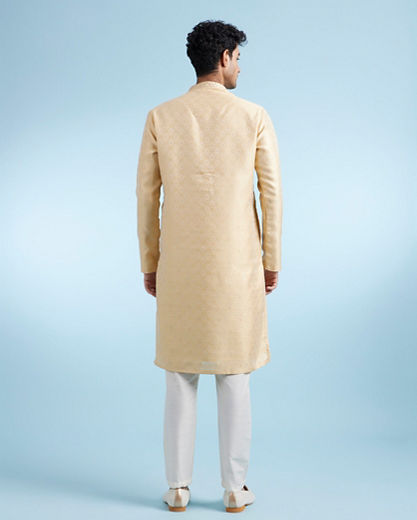 Diwas Men Fawn Ensemble Kurta Pajama