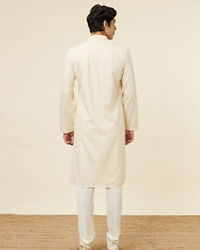 Twamev Men Subtle Beige Luxury Kurta Set