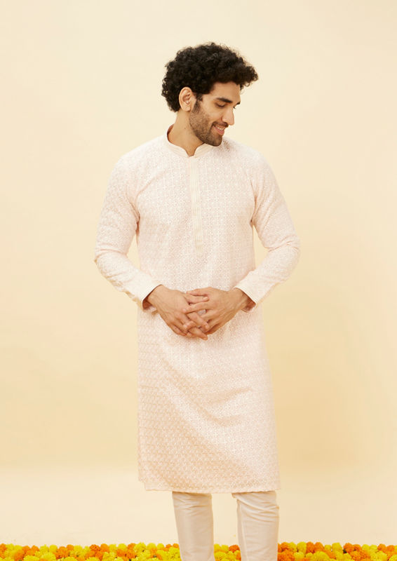 alt message - Twamev Men Rose Shadow Pink Chikankari Kurta image number 0