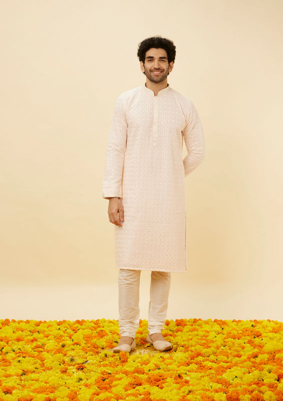 alt message - Twamev Men Rose Shadow Pink Chikankari Kurta image number 2